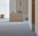 Metro nimbus - Görsel 2