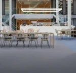 Metro gull - Görsel 2