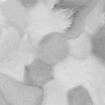 Welcome to Jupiter Grey