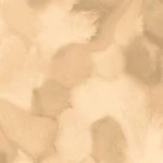 Welcome to Jupiter Sepia