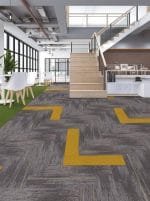 Darwin 33 (25x100cm) - Görsel 2