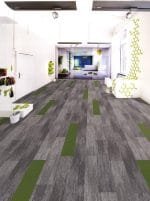 Darwin 34 (25x100cm) - Görsel 2