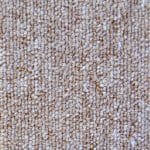 Contesse Da Vinci 551