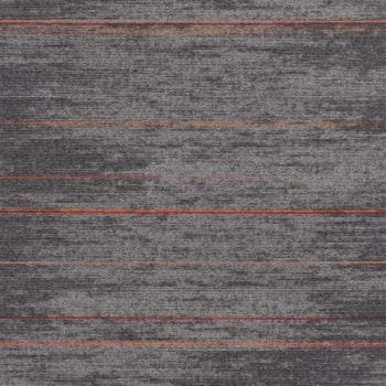 Darwin 21 (25x100cm)