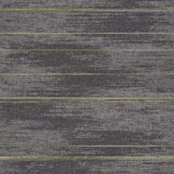 Darwin 22 (25x100cm)