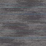 Darwin 23 (25x100cm)