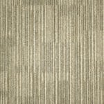 Contesse Donatello 1801