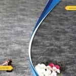 Garden Extra 1803-1804