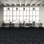 Contesse Pasteur 17 - Görsel 2