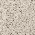 Asteranne A411 1318 Asteranne 50