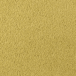 Asteranne A411 2005 Asteranne 50