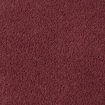 Asteranne A411 2111 Asteranne 50