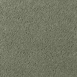 Asteranne A411 2903 Asteranne 50