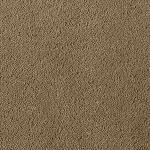 Asteranne A411 2923 Asteranne 50