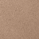 Asteranne A411 2946 Asteranne 50