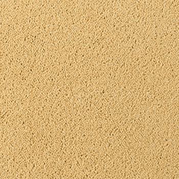 Asteranne A411 6032 Asteranne 50