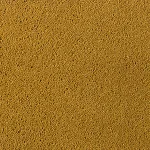 Asteranne A411 6101 Asteranne 50