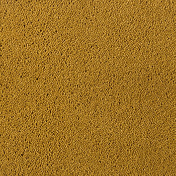 Asteranne A411 6101 Asteranne 50