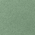 Asteranne A411 7944 Asteranne 50