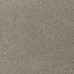 Asteranne A411 9104 Asteranne 50