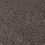 Asteranne A411 9532 Asteranne 50