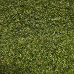 Landscape - 500gr Otlu