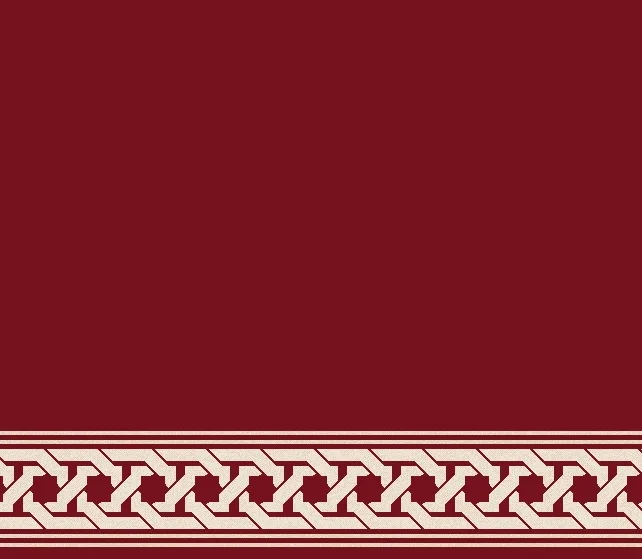 S132-BORDO