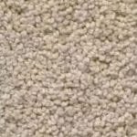 Performans Gold Karamel