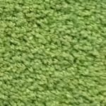 Performans Gold Fıstık Yeşili