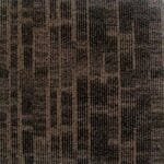 Samur Discovery 1401