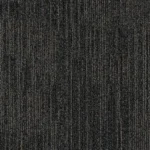 tessera inline nucleus