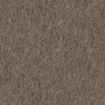 Coral -Coral Lines 58309