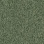 Coral -Coral Lines 58376