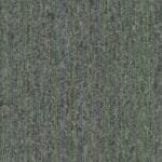 Coral -Coral Lines 60376