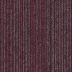 Coral -Coral Lines 60380