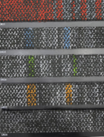 Cloud Dream C-01 C-02 C-03 C-04