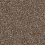 4122131 Nutmeg