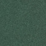 4122305 Forest