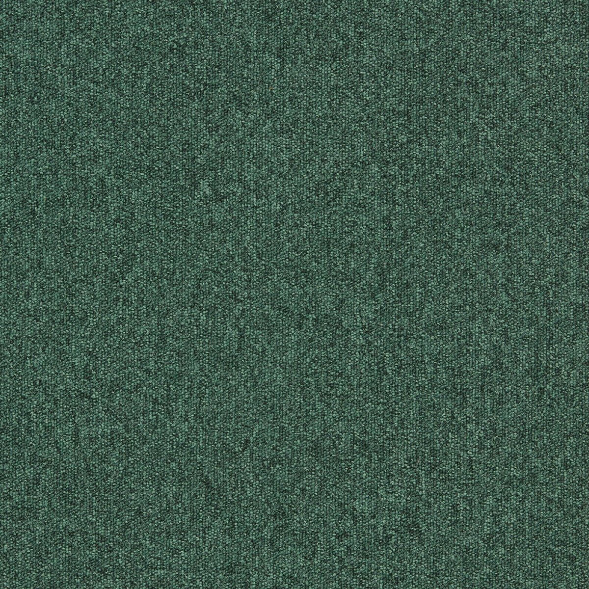 4122305-Forest-Interface-heuga-727-Karo-Hali.jpg 4122305 Forest - Görsel 1