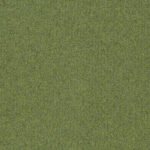 4122306 Fern