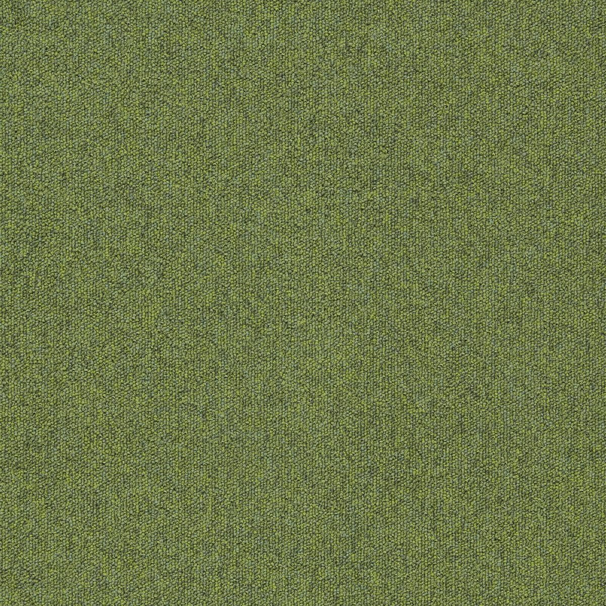 4122306-Fern-Interface-heuga-727-Karo-Hali.jpg 4122306 Fern - Görsel 1