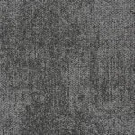 4169007 transcribe