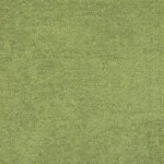 4169070 fern