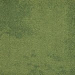 4169071 olive