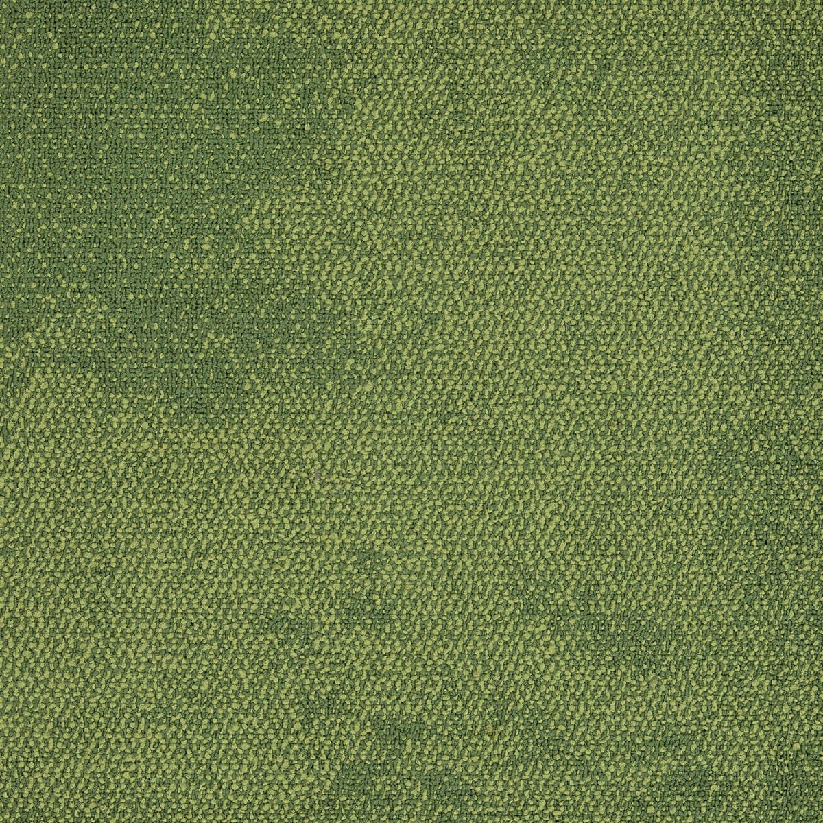 4169071-olive-Interface-Composure-karo-hali.jpg 4169071 olive - Görsel 1