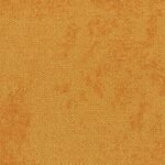 4169073 sunburst