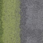 4274003 oliveseclusion