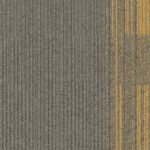 7559004 sage canary