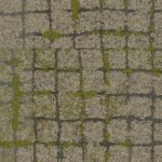 8340001 moss in stone granite edge
