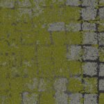 8341002 moss slatemoss